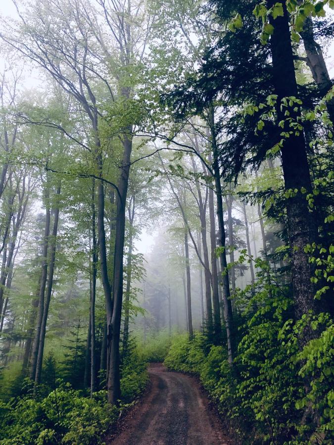 Chata Jarzębata Wisla Bagian luar foto